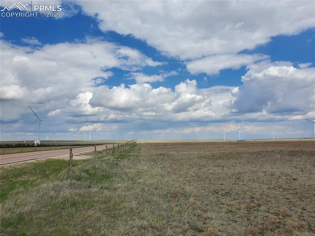 Parcel #1 Judge Orr Road Calhan, CO 80808 - Photo 6 of 12 a view of a yard with large trees