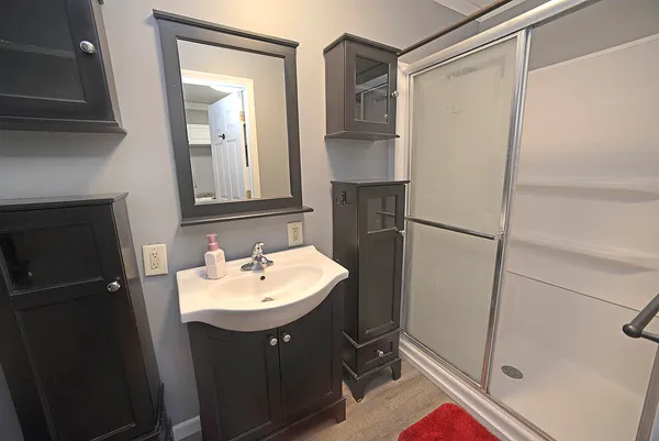 a bathroom with a sink mirror and shower