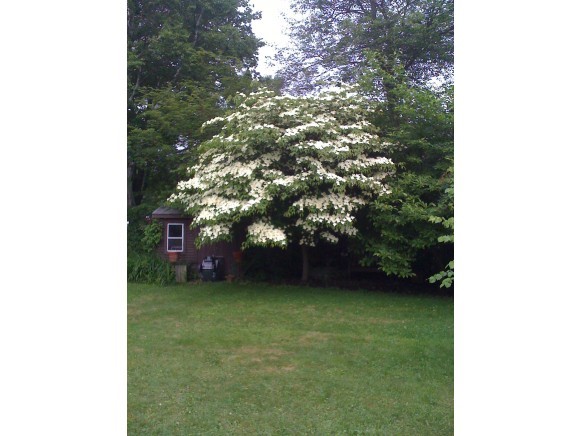 23 Boston Harbor Road Dover, NH 03820 - Photo 10 of 23