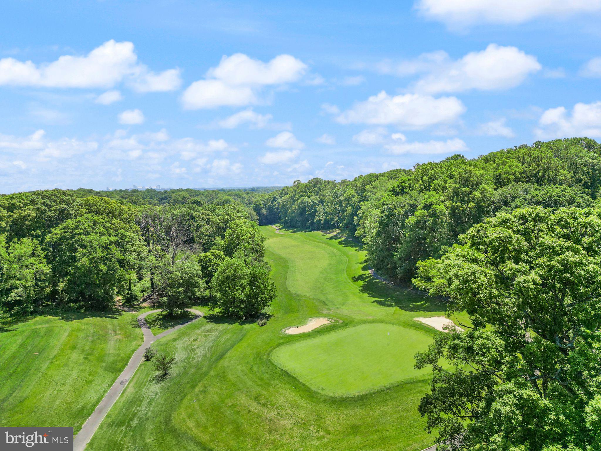2037 Durand Drive Reston, VA 20191 - Photo 70 of 79 Stunning views