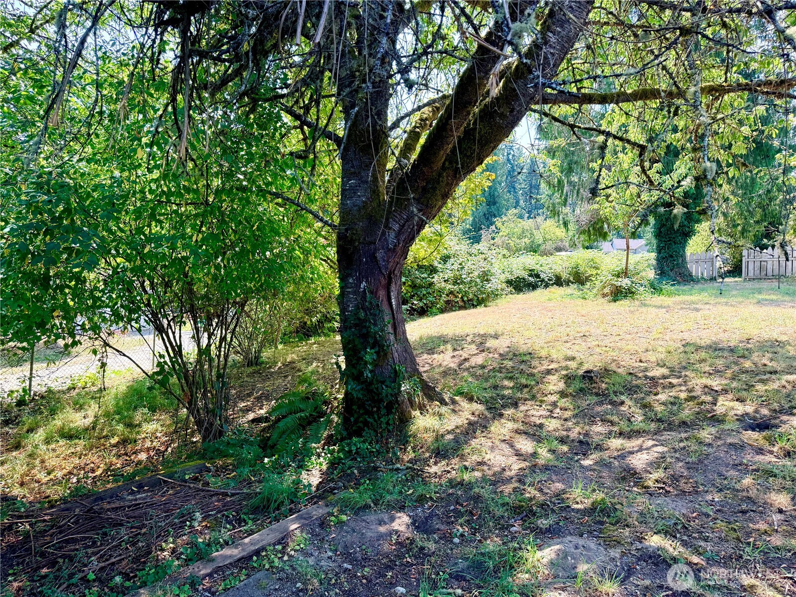 1919 Guy Wetzel Road Port Orchard, WA 98366 - Photo 8 of 25 Gallery Image 8