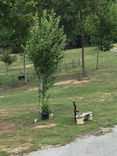 175 Gallagher Road Dayton, TN 37321 - Photo 31 of 36 image4