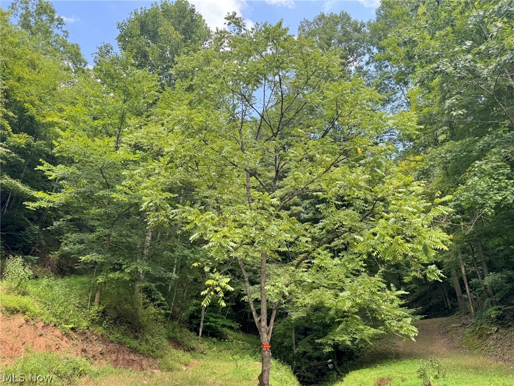998 Sugarcamp Road Big Bend, WV 26136 - Photo 11 of 17 Gallery Image 11