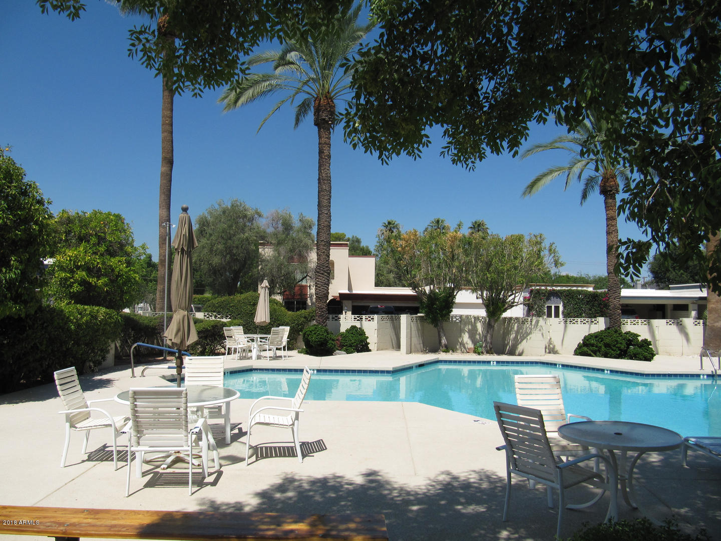 2504 East Osborn Road Phoenix, AZ 85016 - Photo 51 of 53 Community Pool