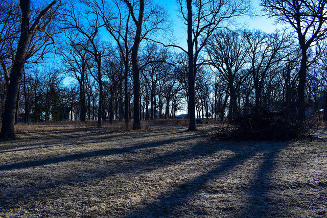 4089 West Sandwich Road Sandwich, IL 60548 - Photo 12 of 15 a view of backyard with green space
