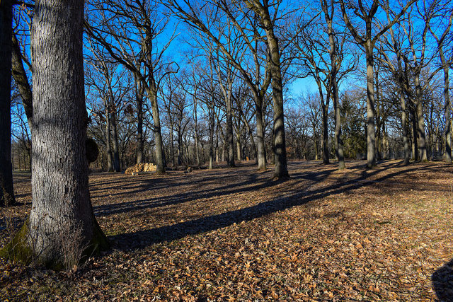 4089 West Sandwich Road Sandwich, IL 60548 - Photo 5 of 15 a view of a yard with wooden fence