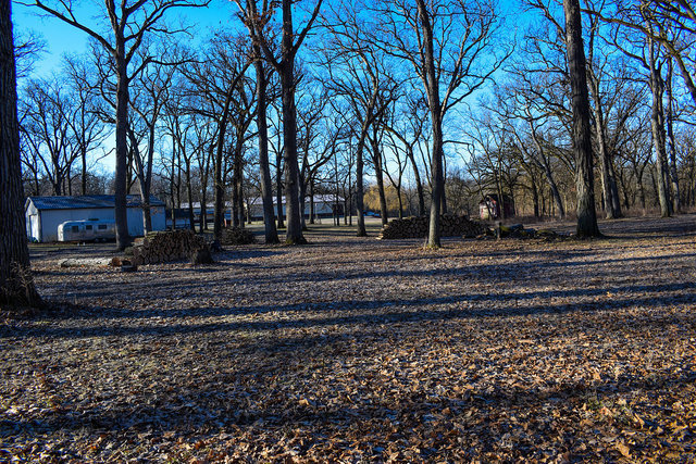 4089 West Sandwich Road Sandwich, IL 60548 - Photo 6 of 15 a large tree in the middle of a yard