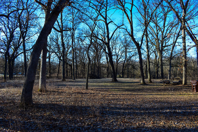 4089 West Sandwich Road Sandwich, IL 60548 - Photo 9 of 15 a view of park space and tree