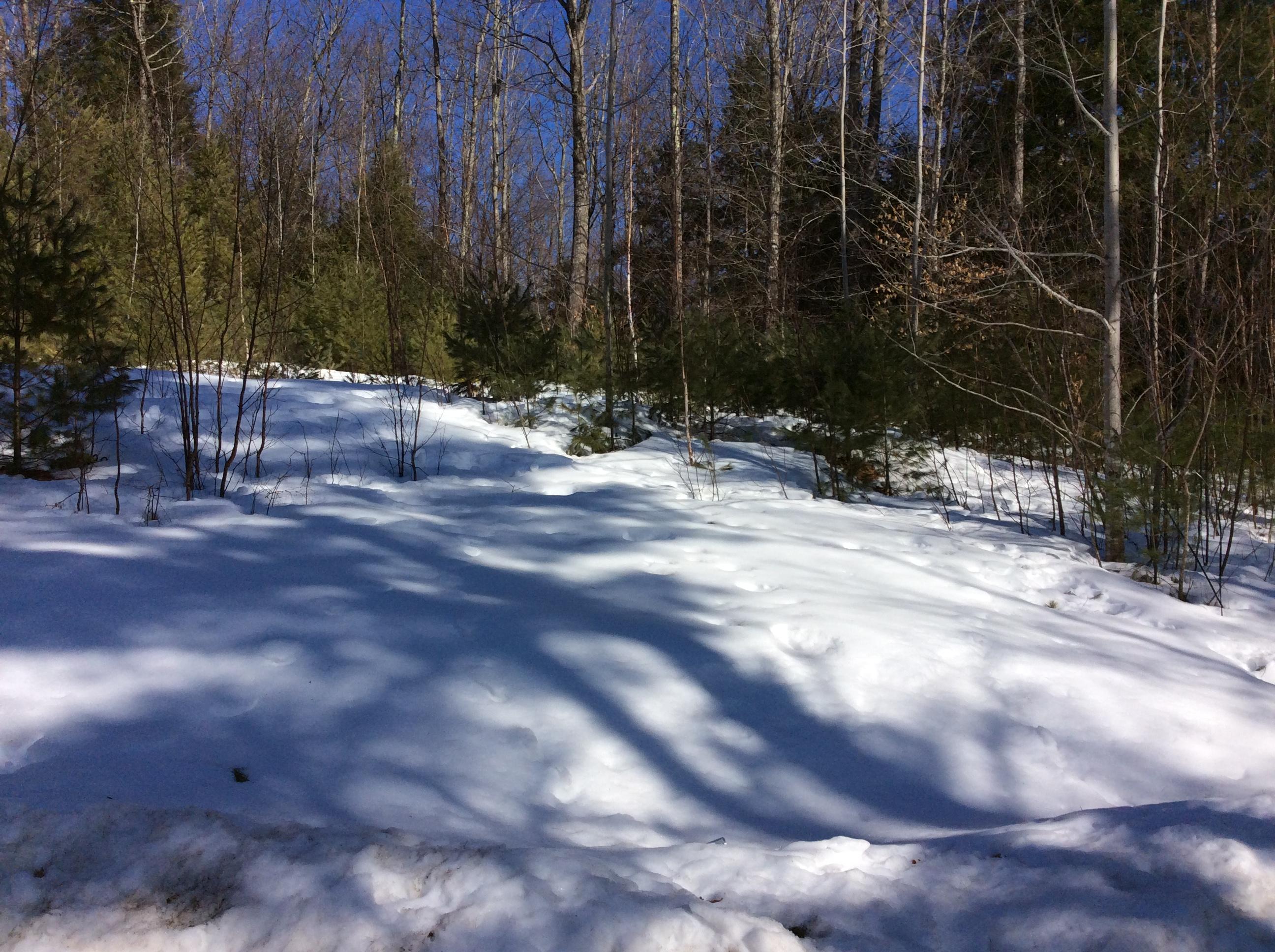 52 Twitchell Road South Paris, ME 04281 - Photo 44 of 49 IMG_1983