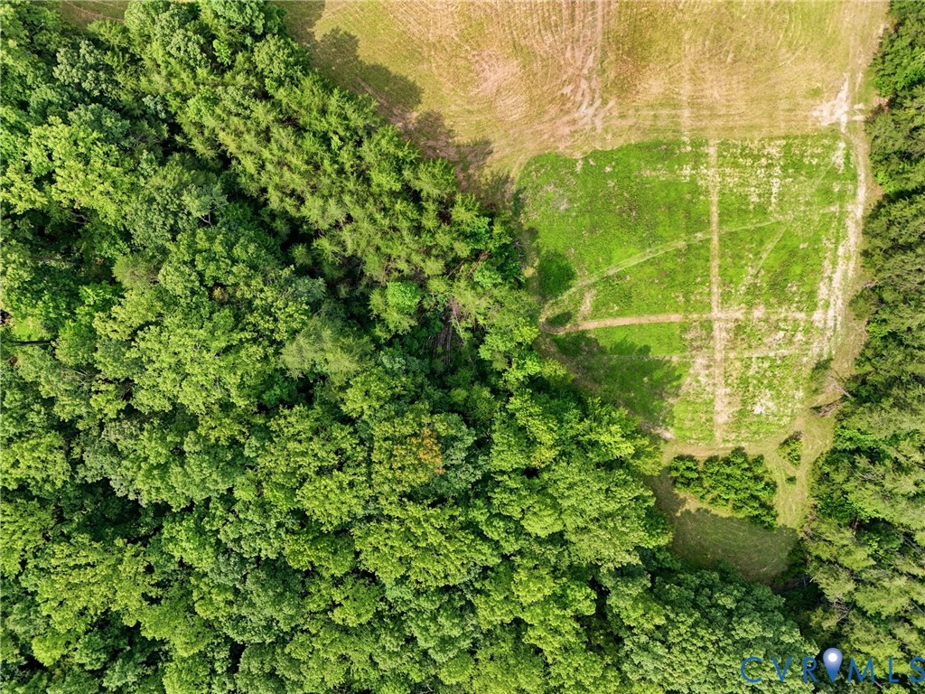 10672 Cross County Road Mineral, VA 23117 - Photo 14 of 33 Expansive wooded acreage with a cleared, grassy se