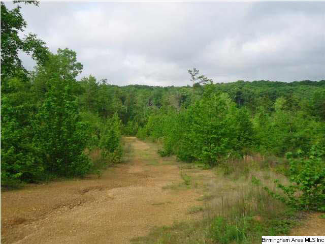 Mayo Road, Unit 96 Altoona, AL 35952 - Photo 5 of 23