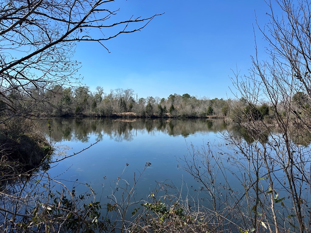 Undisclosed Address Ariton, AL 36311 - Photo 3 of 17