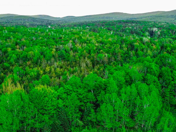 $77,500 | 0 Tousant Hill Road, Greensboro Bend, VT 05842