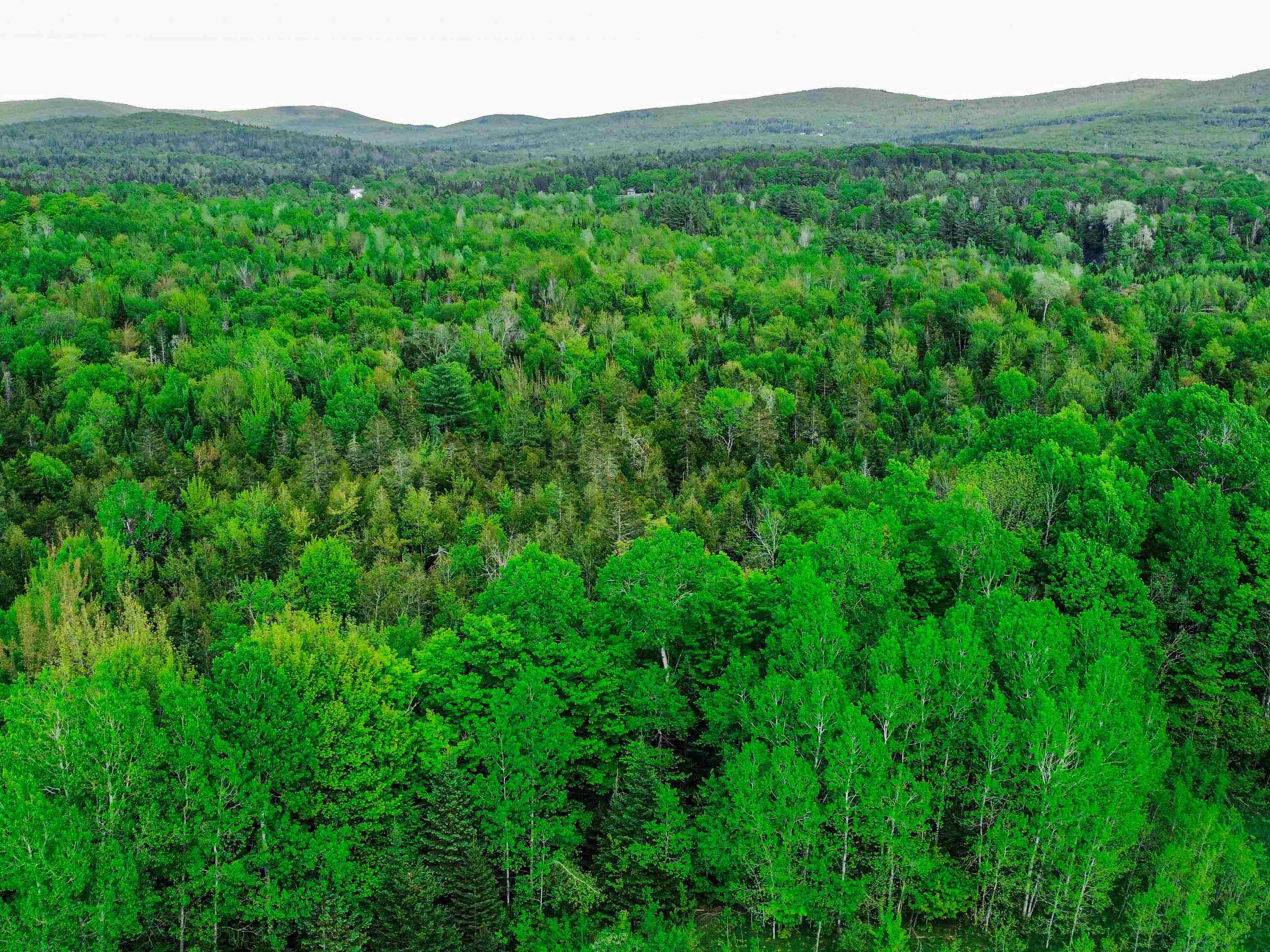 0 Tousant Hill Road Greensboro Bend, VT 05842 - Photo 16 of 34