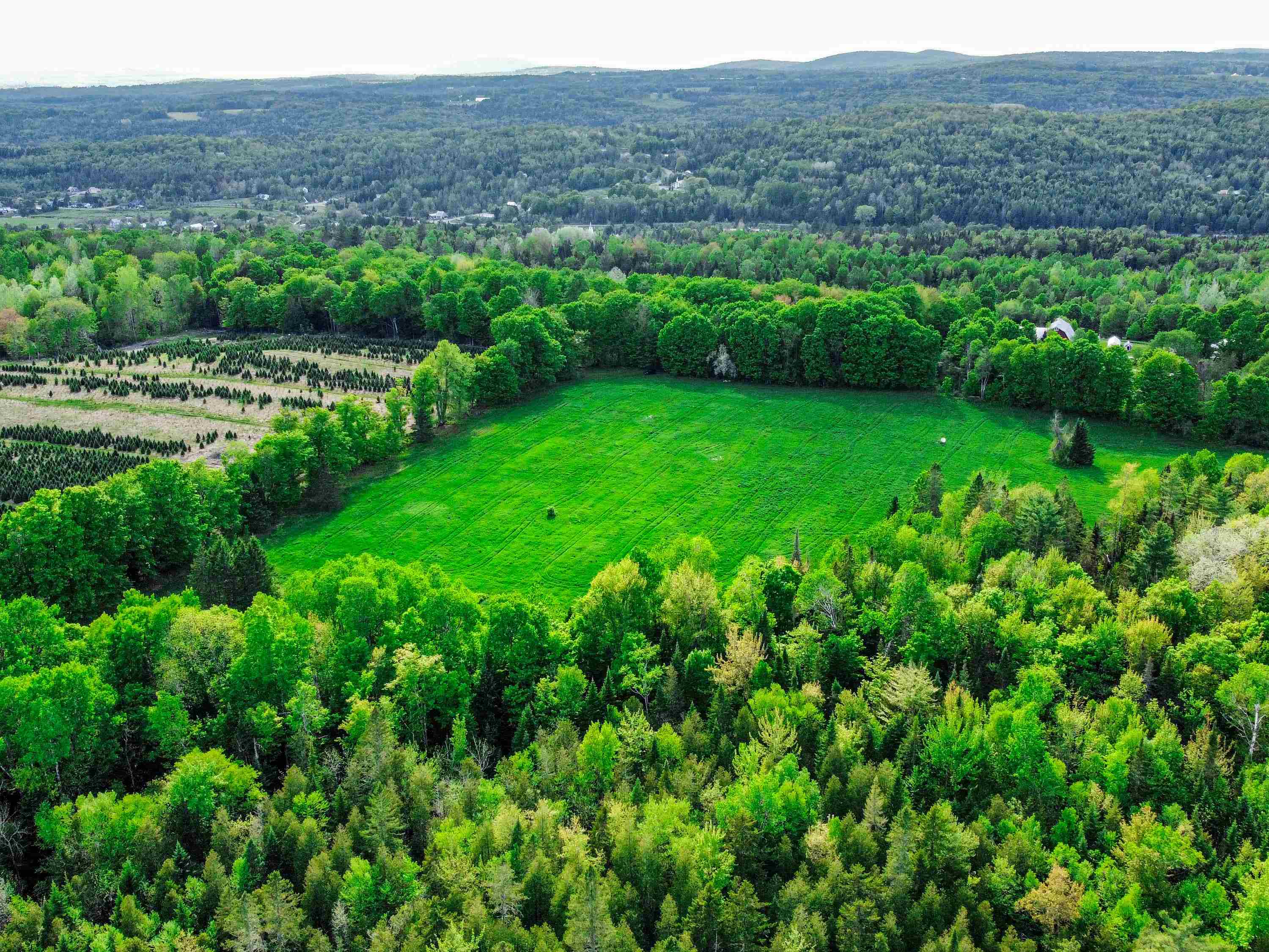 0 Tousant Hill Road Greensboro Bend, VT 05842 - Photo 17 of 34
