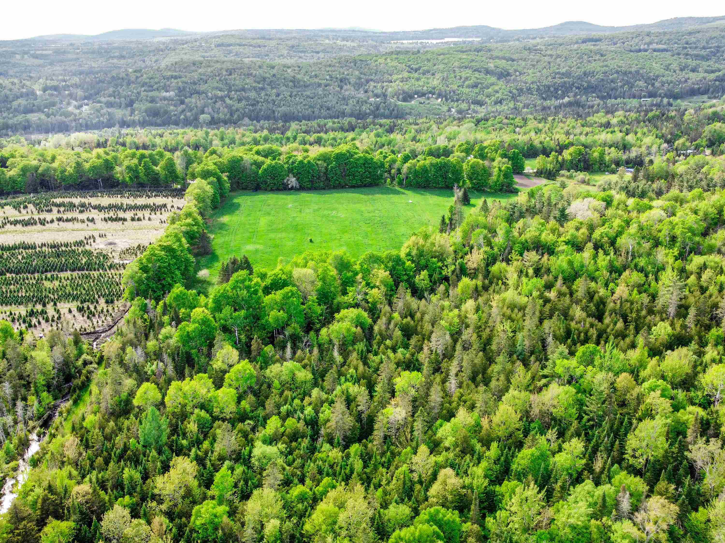 0 Tousant Hill Road Greensboro Bend, VT 05842 - Photo 18 of 34