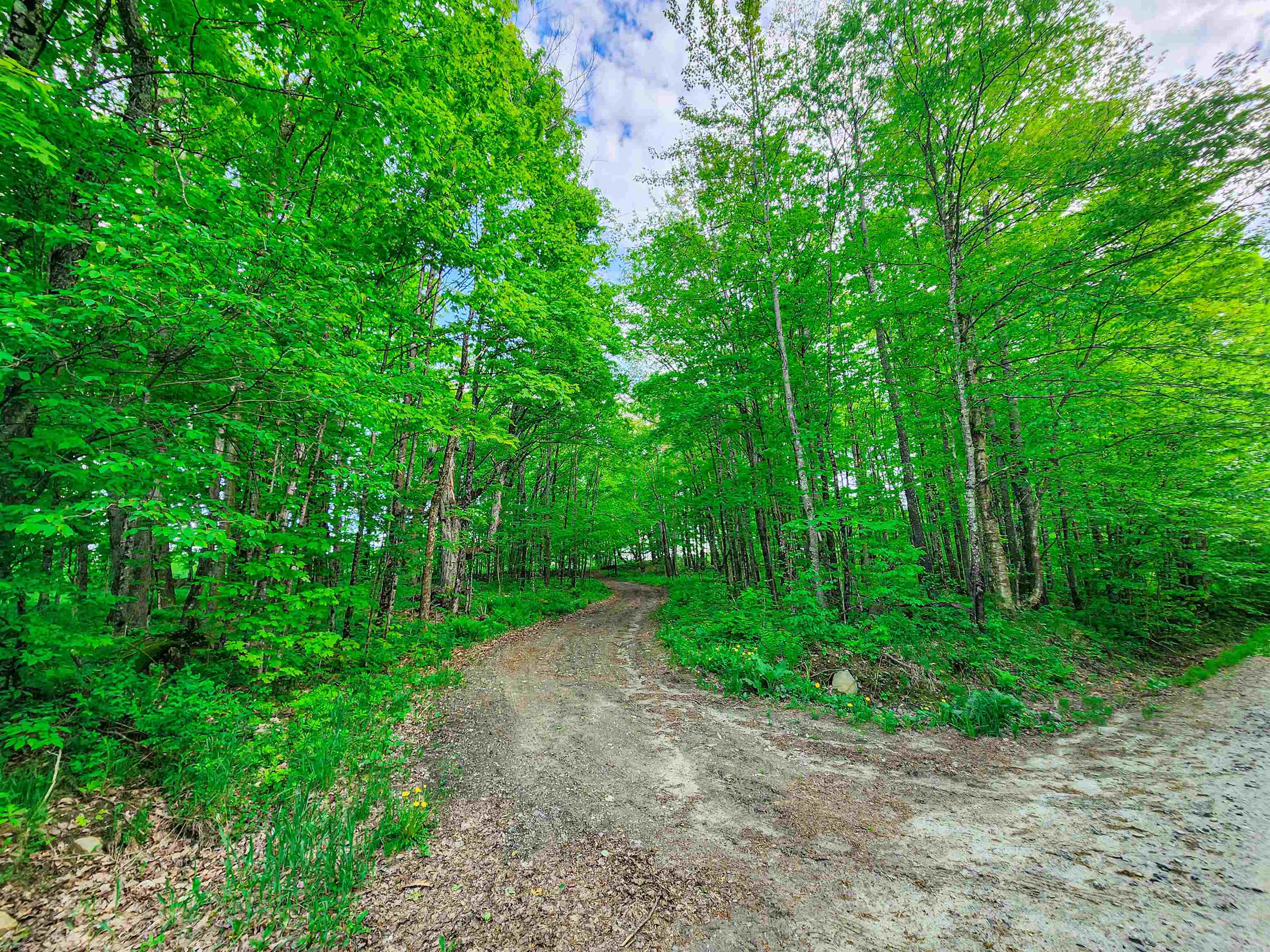 0 Tousant Hill Road Greensboro Bend, VT 05842 - Photo 2 of 34