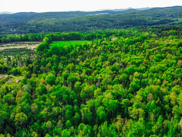 $77,500 | 0 Tousant Hill Road, Greensboro Bend, VT 05842