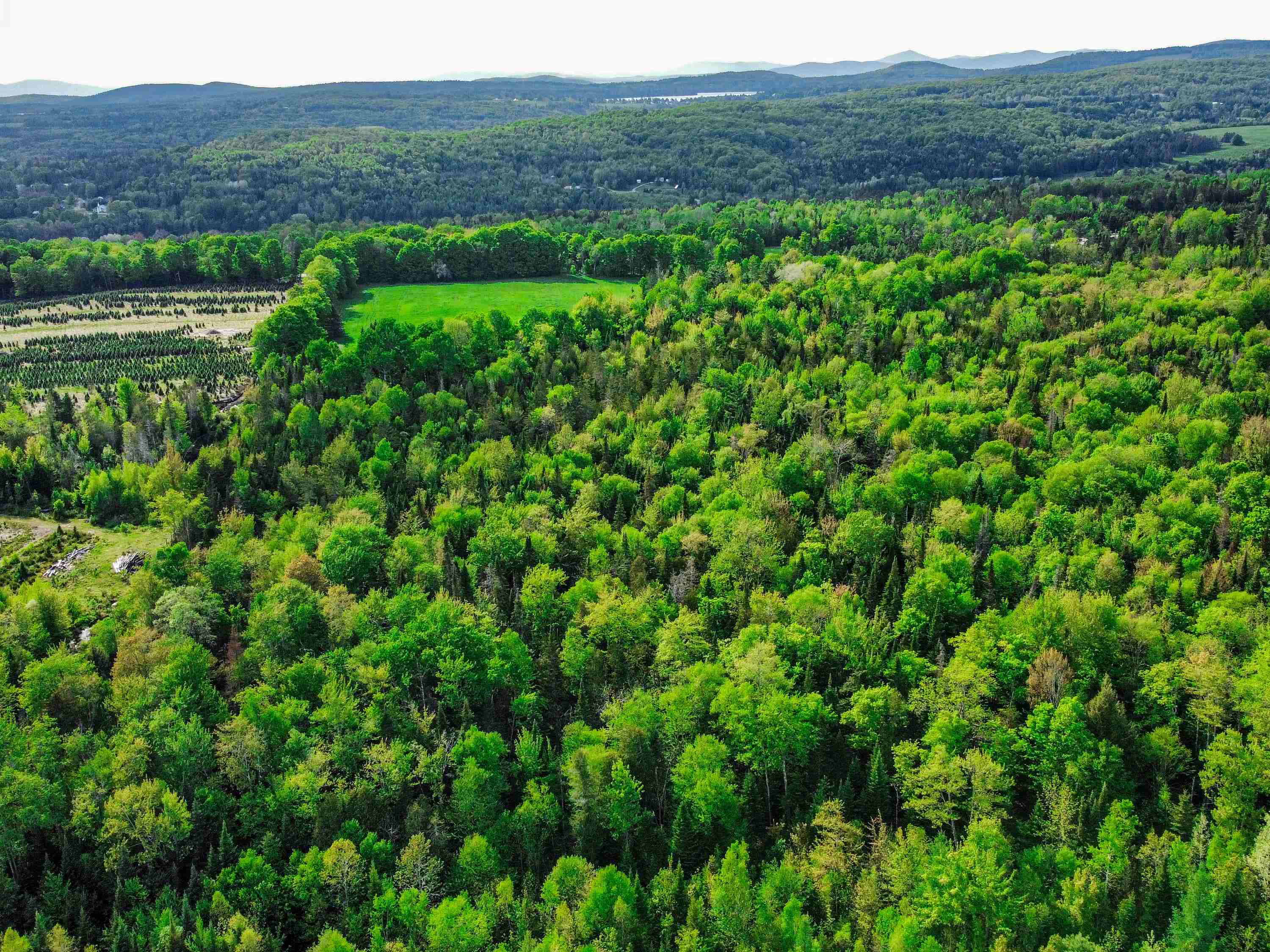 0 Tousant Hill Road Greensboro Bend, VT 05842 - Photo 21 of 34