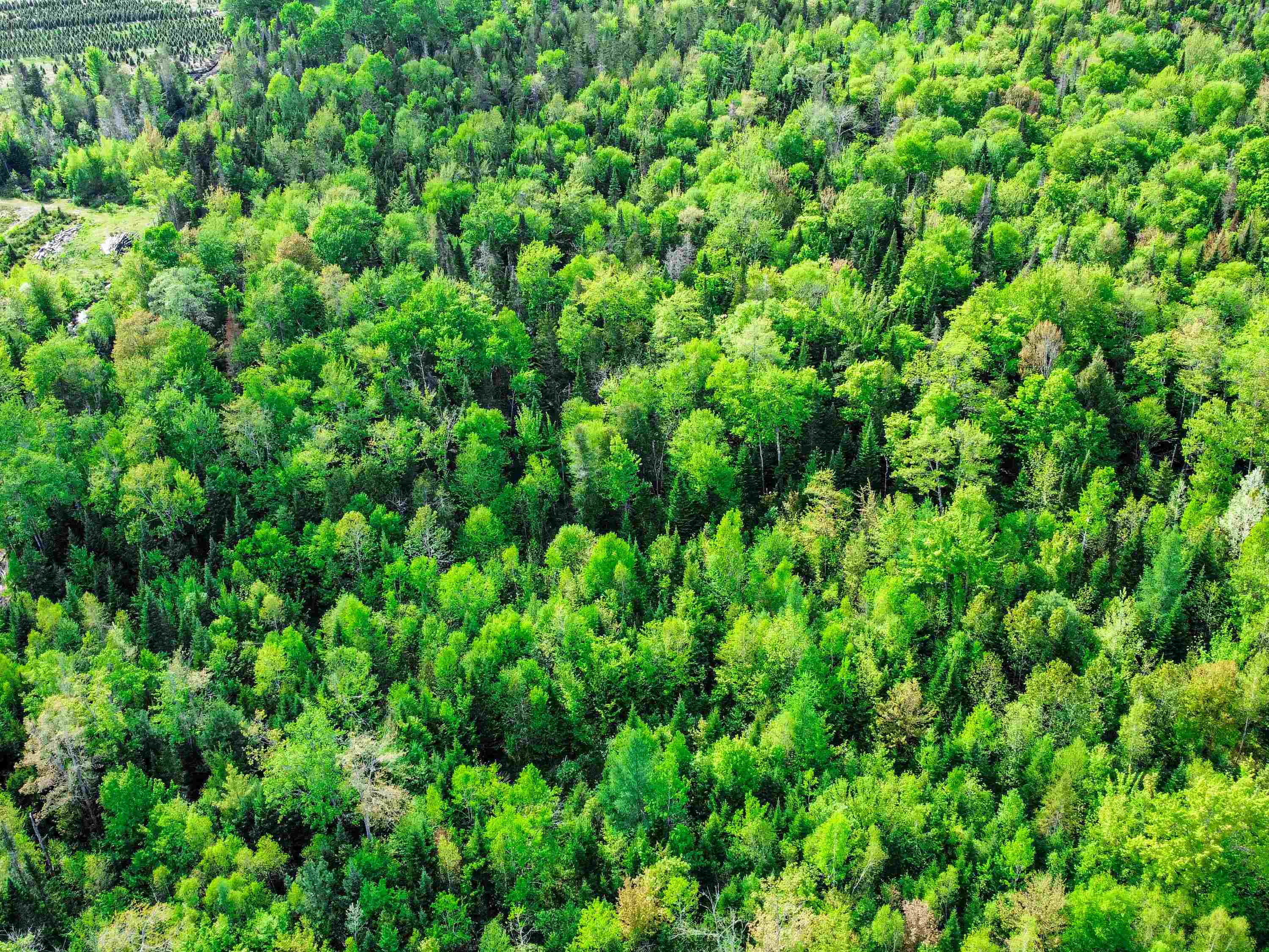 0 Tousant Hill Road Greensboro Bend, VT 05842 - Photo 22 of 34