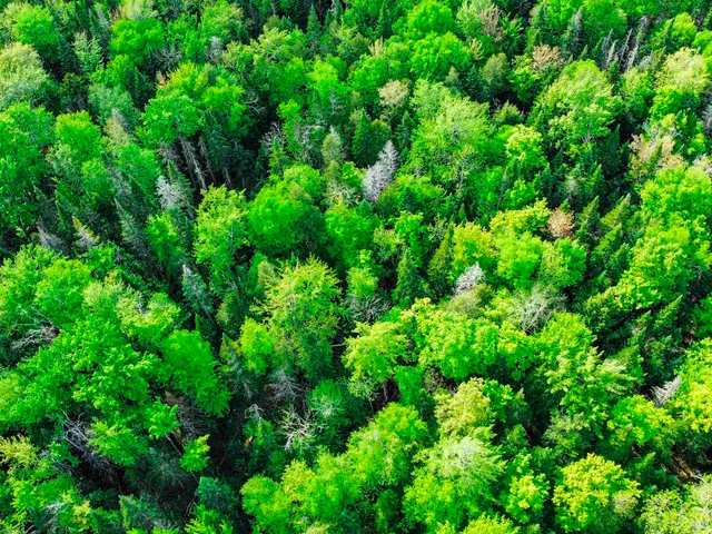 $77,500 | 0 Tousant Hill Road, Greensboro Bend, VT 05842