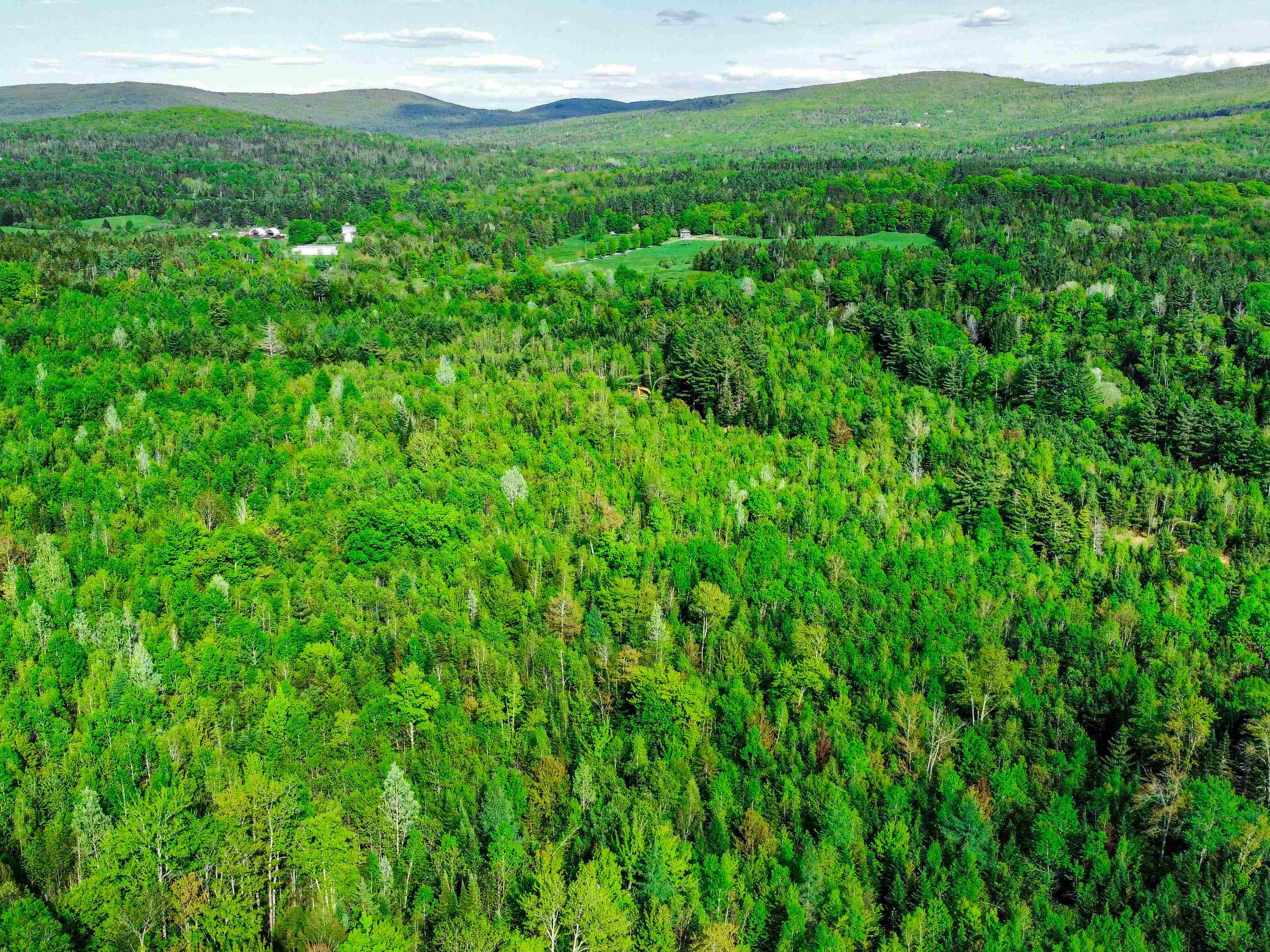 0 Tousant Hill Road Greensboro Bend, VT 05842 - Photo 26 of 34