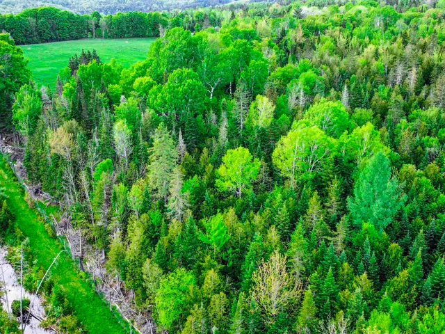 $77,500 | 0 Tousant Hill Road, Greensboro Bend, VT 05842