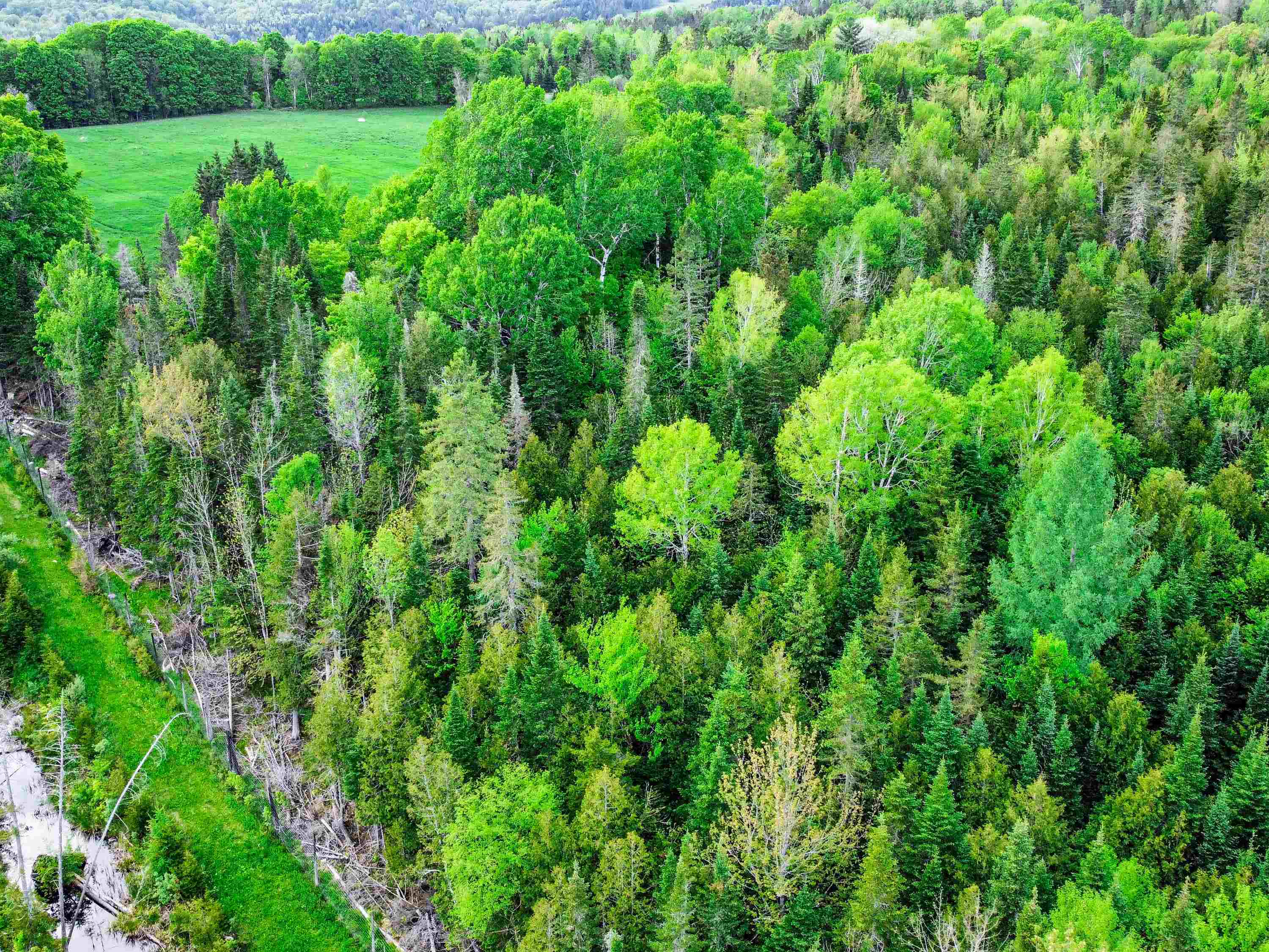 0 Tousant Hill Road Greensboro Bend, VT 05842 - Photo 28 of 34