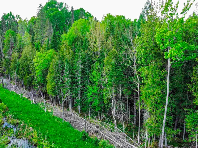 $77,500 | 0 Tousant Hill Road, Greensboro Bend, VT 05842