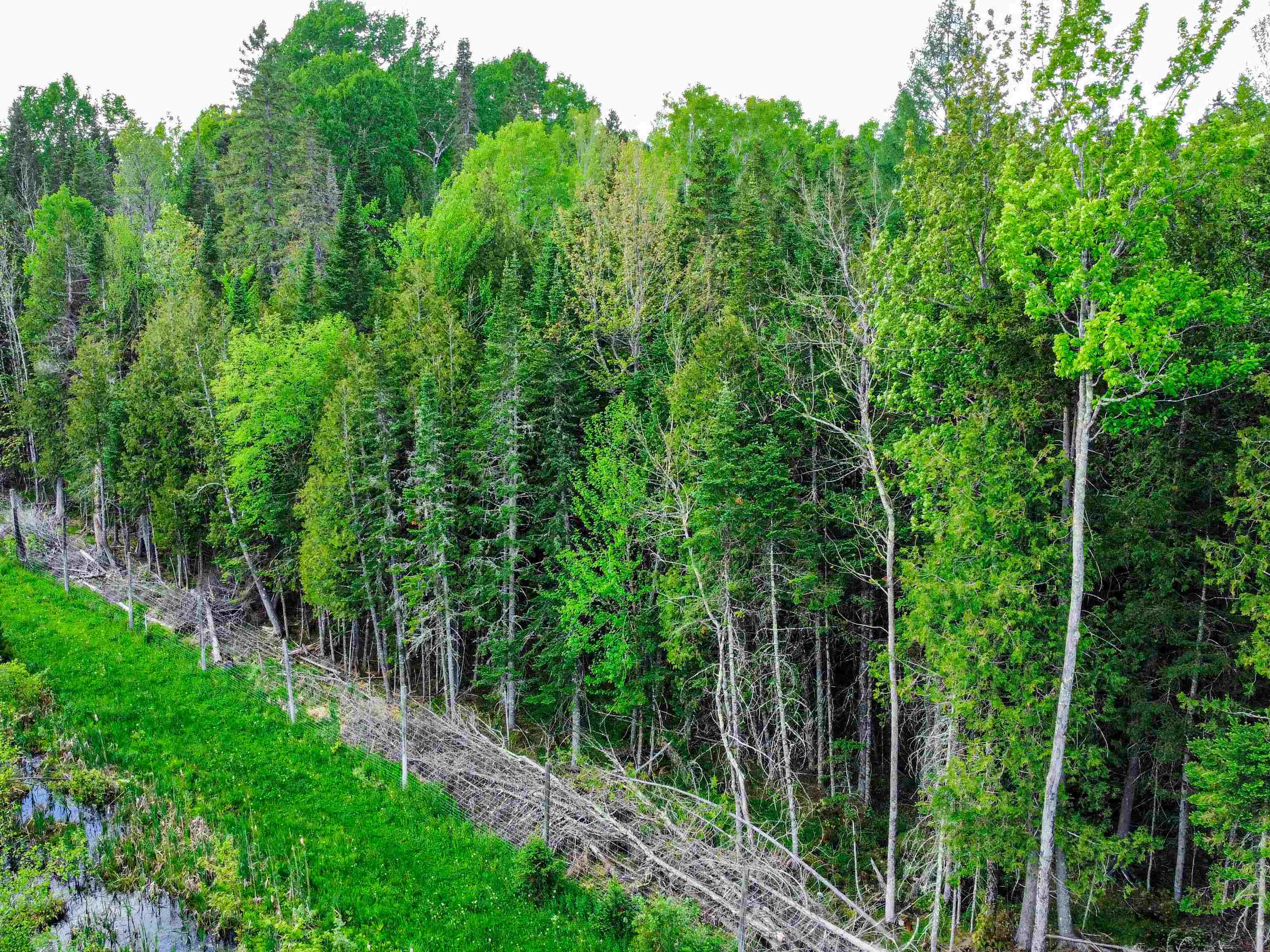 0 Tousant Hill Road Greensboro Bend, VT 05842 - Photo 29 of 34