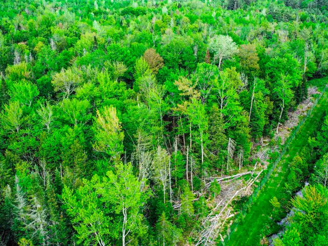 $77,500 | 0 Tousant Hill Road, Greensboro Bend, VT 05842