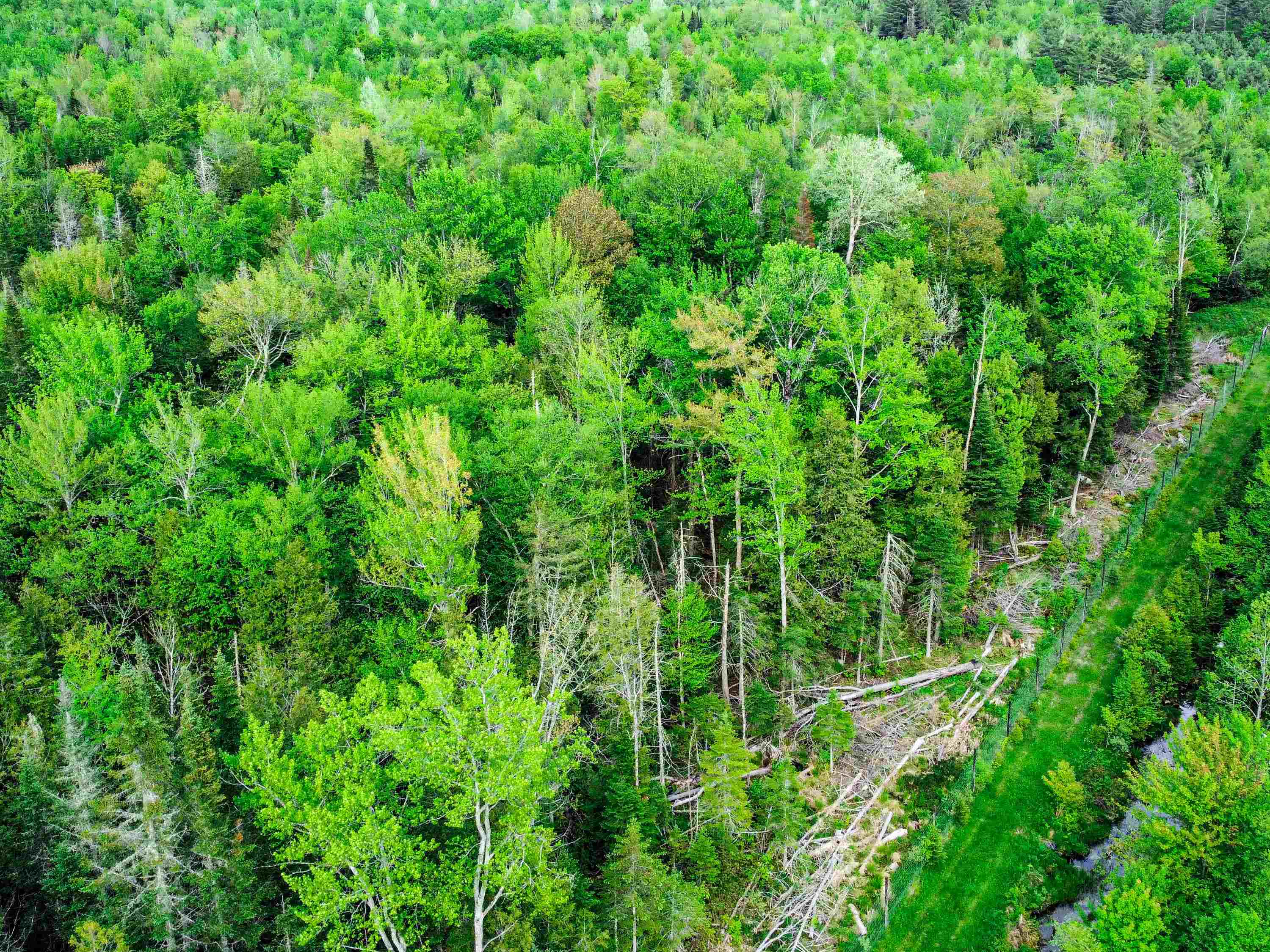 0 Tousant Hill Road Greensboro Bend, VT 05842 - Photo 30 of 34