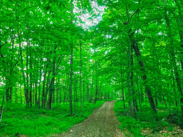 $77,500 | 0 Tousant Hill Road, Greensboro Bend, VT 05842