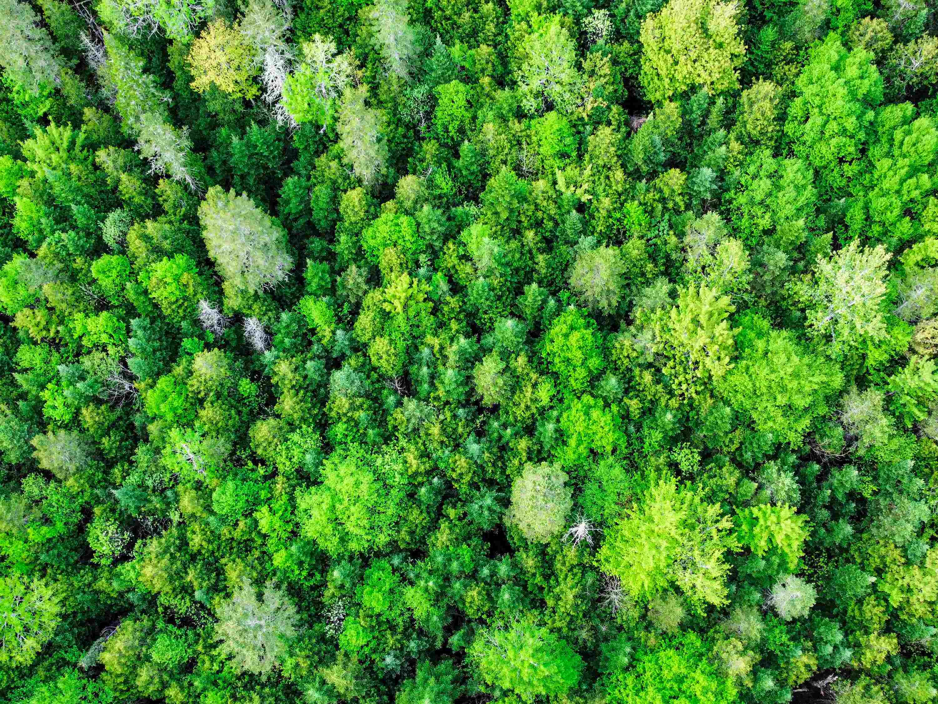 0 Tousant Hill Road Greensboro Bend, VT 05842 - Photo 31 of 34