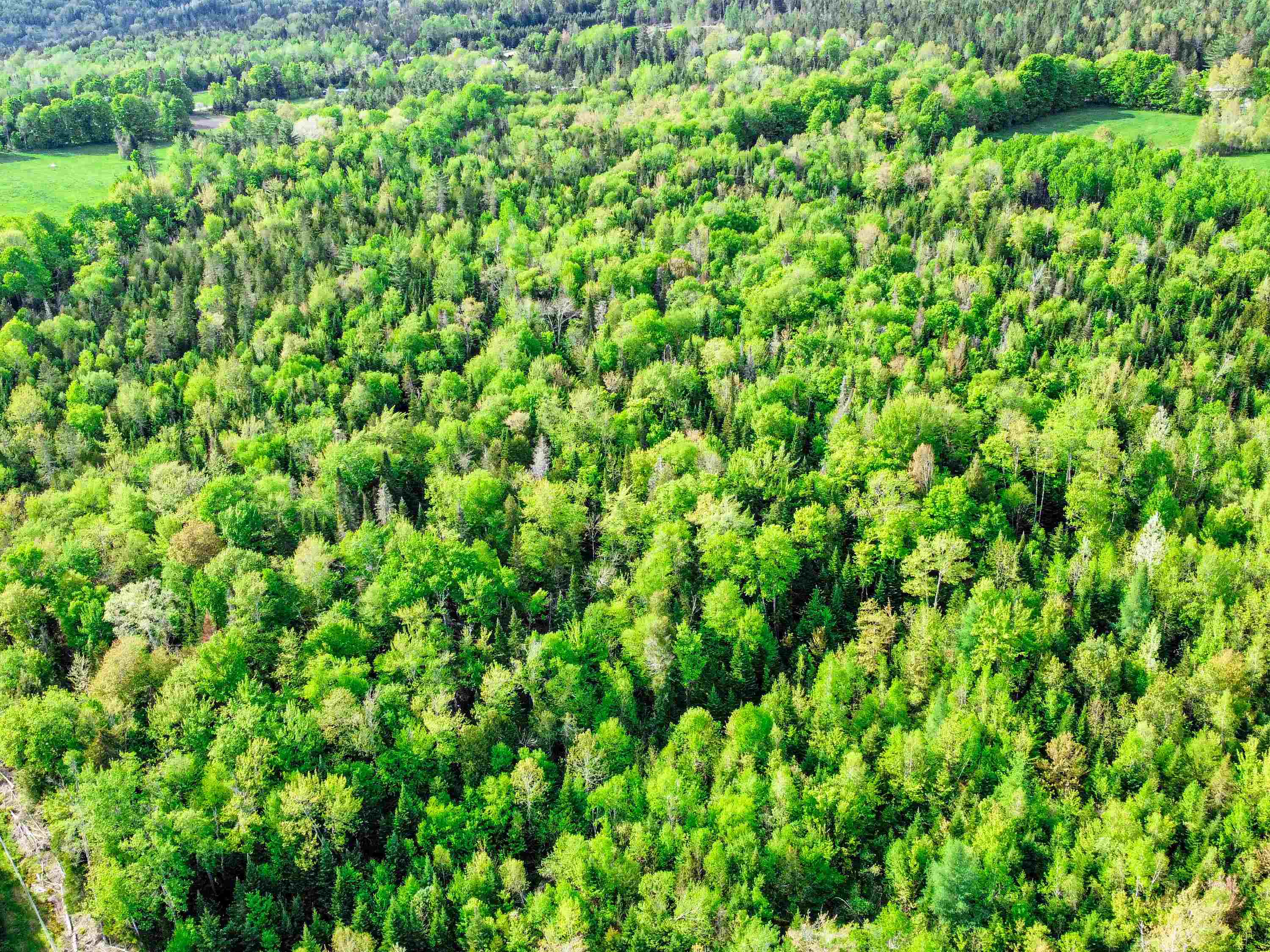 0 Tousant Hill Road Greensboro Bend, VT 05842 - Photo 33 of 34