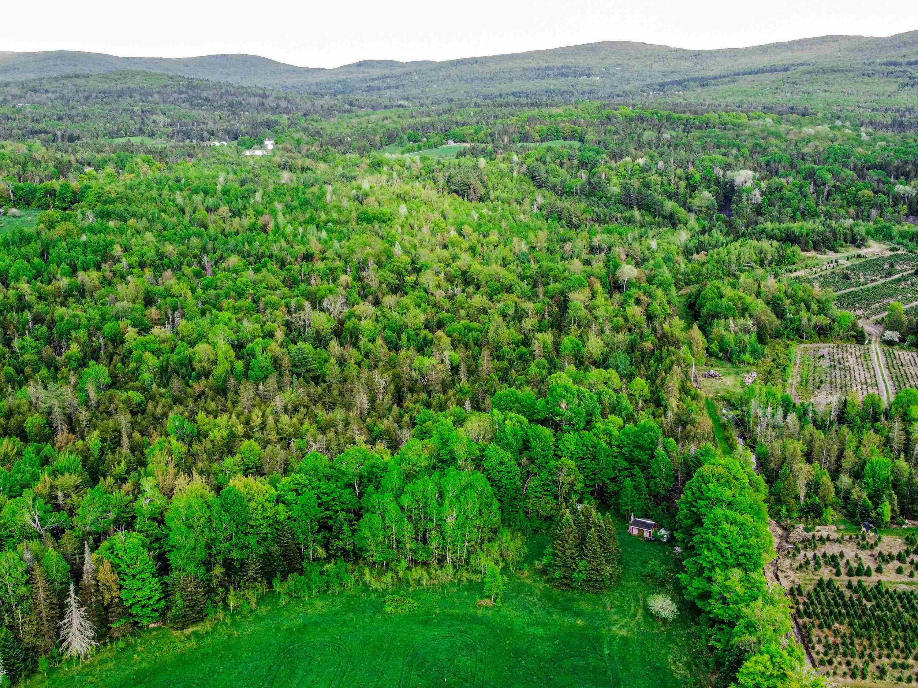 0 Tousant Hill Road Greensboro Bend, VT 05842 - Photo 5 of 34