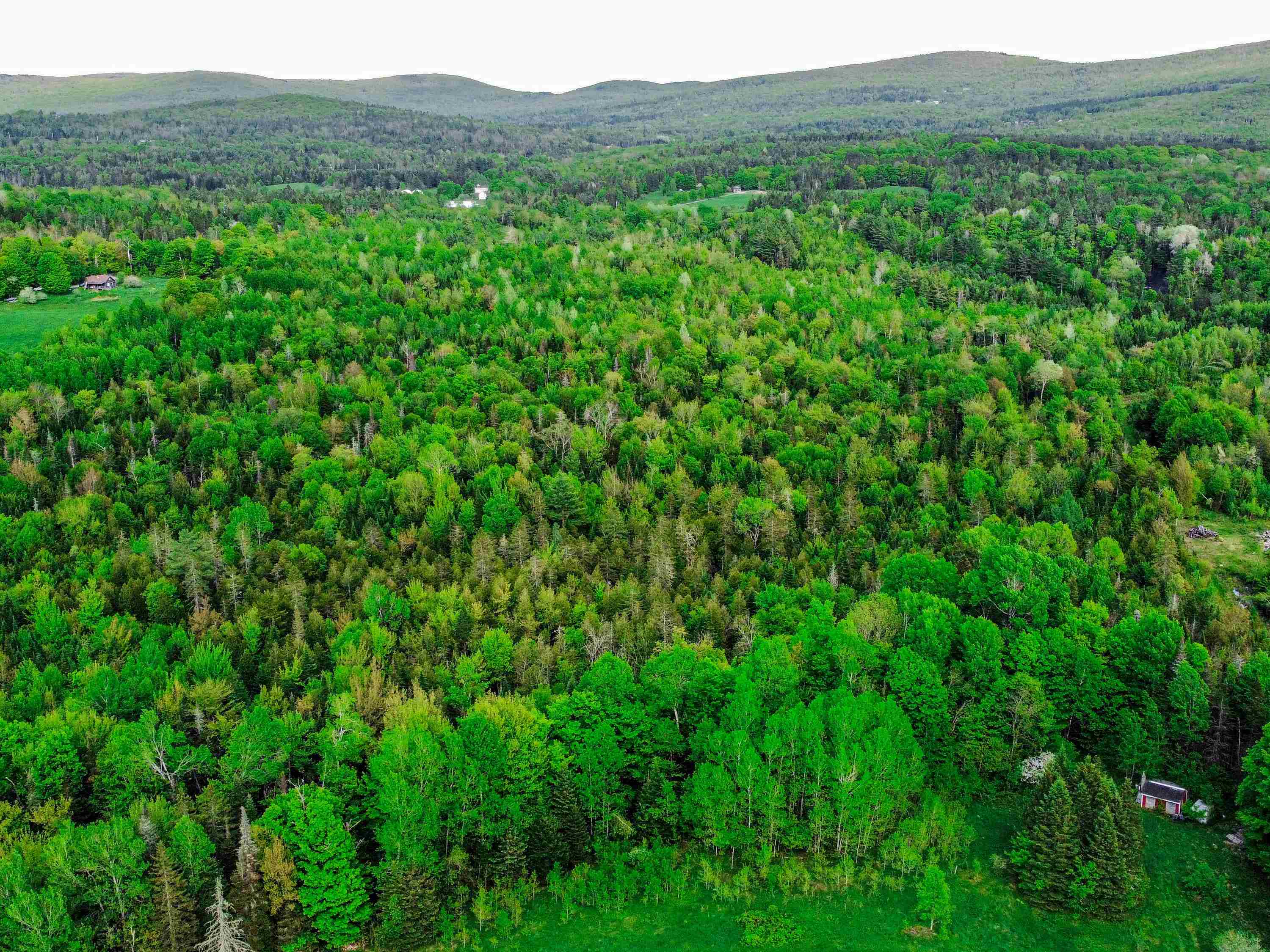 0 Tousant Hill Road Greensboro Bend, VT 05842 - Photo 6 of 34
