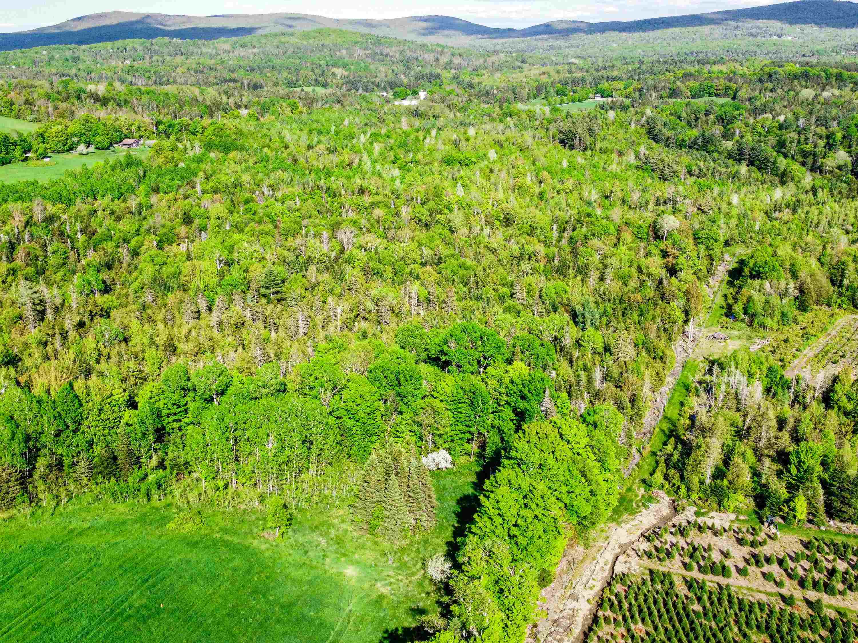 0 Tousant Hill Road Greensboro Bend, VT 05842 - Photo 7 of 34