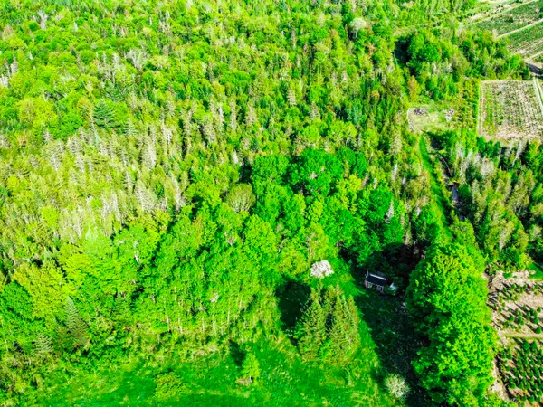 $77,500 | 0 Tousant Hill Road, Greensboro Bend, VT 05842