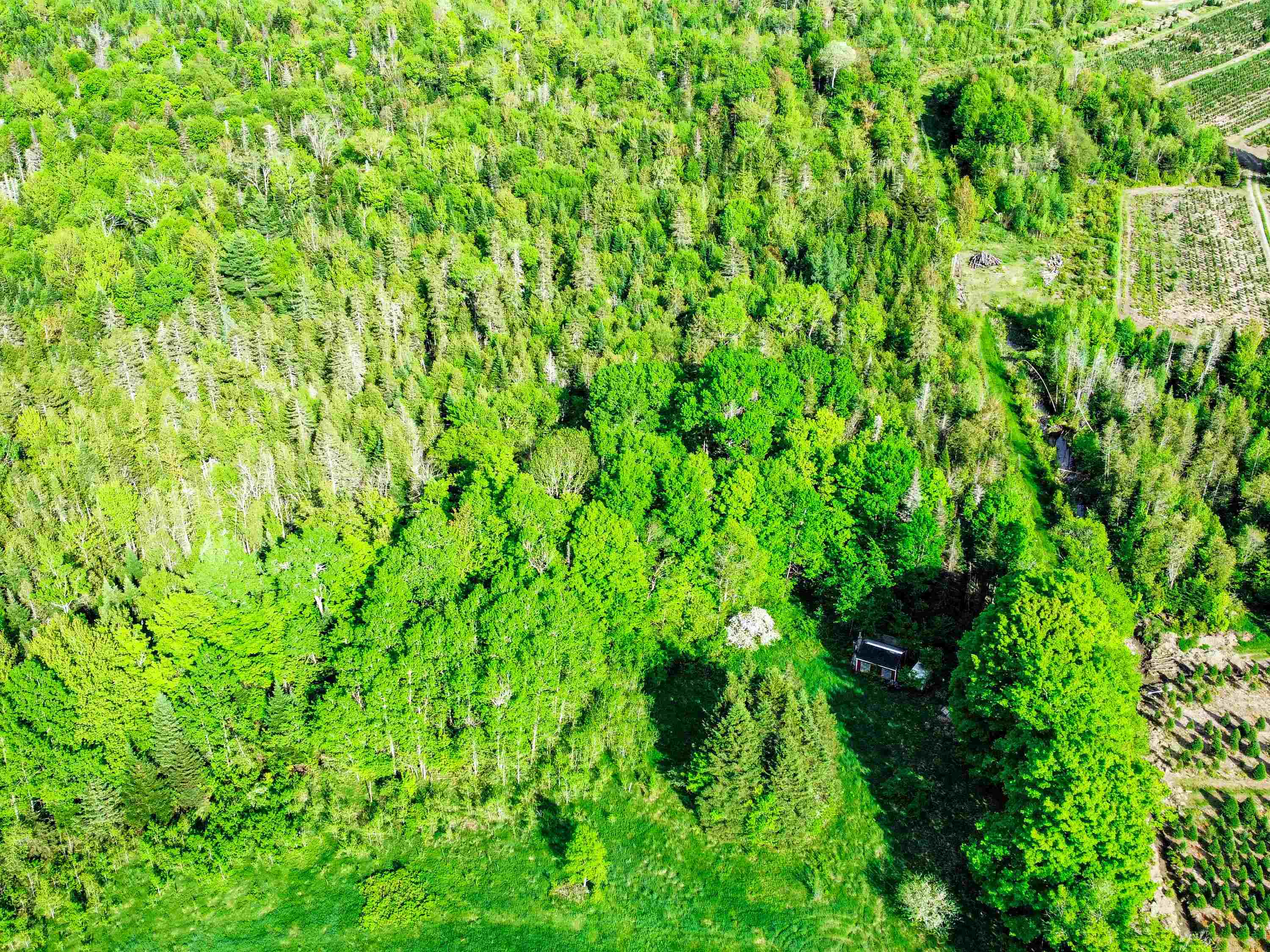 0 Tousant Hill Road Greensboro Bend, VT 05842 - Photo 8 of 34