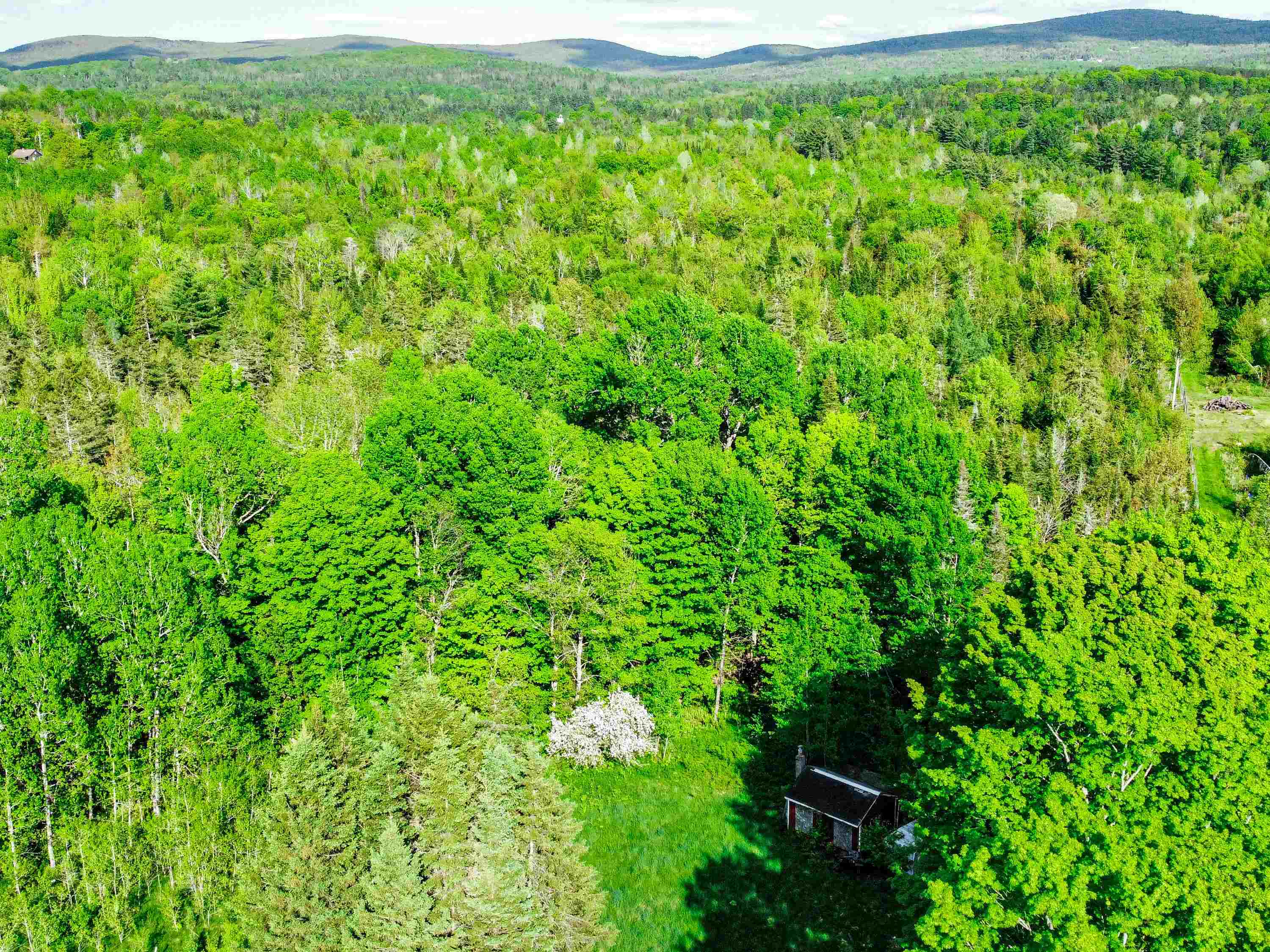 0 Tousant Hill Road Greensboro Bend, VT 05842 - Photo 9 of 34