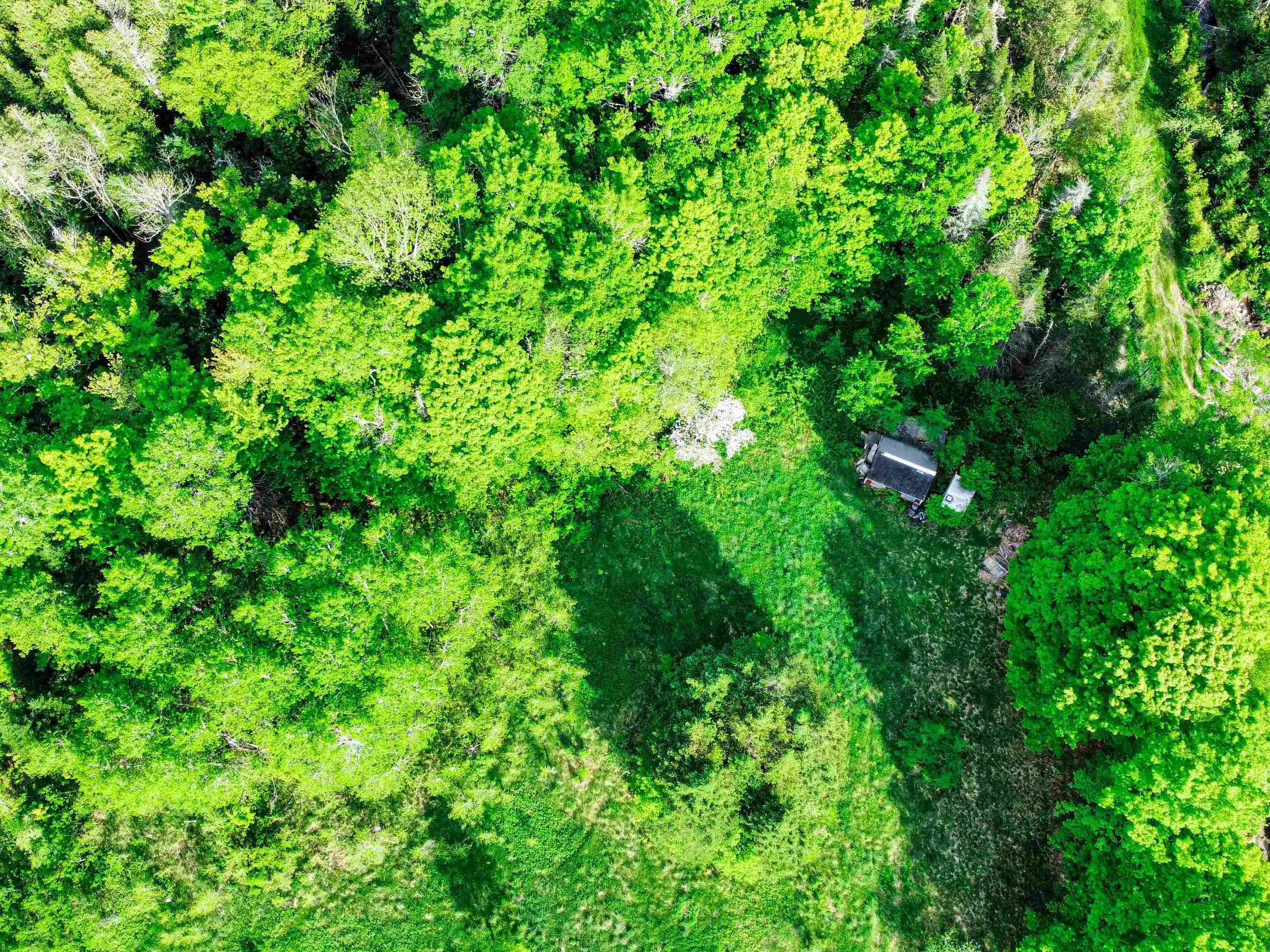 0 Tousant Hill Road Greensboro Bend, VT 05842 - Photo 10 of 34