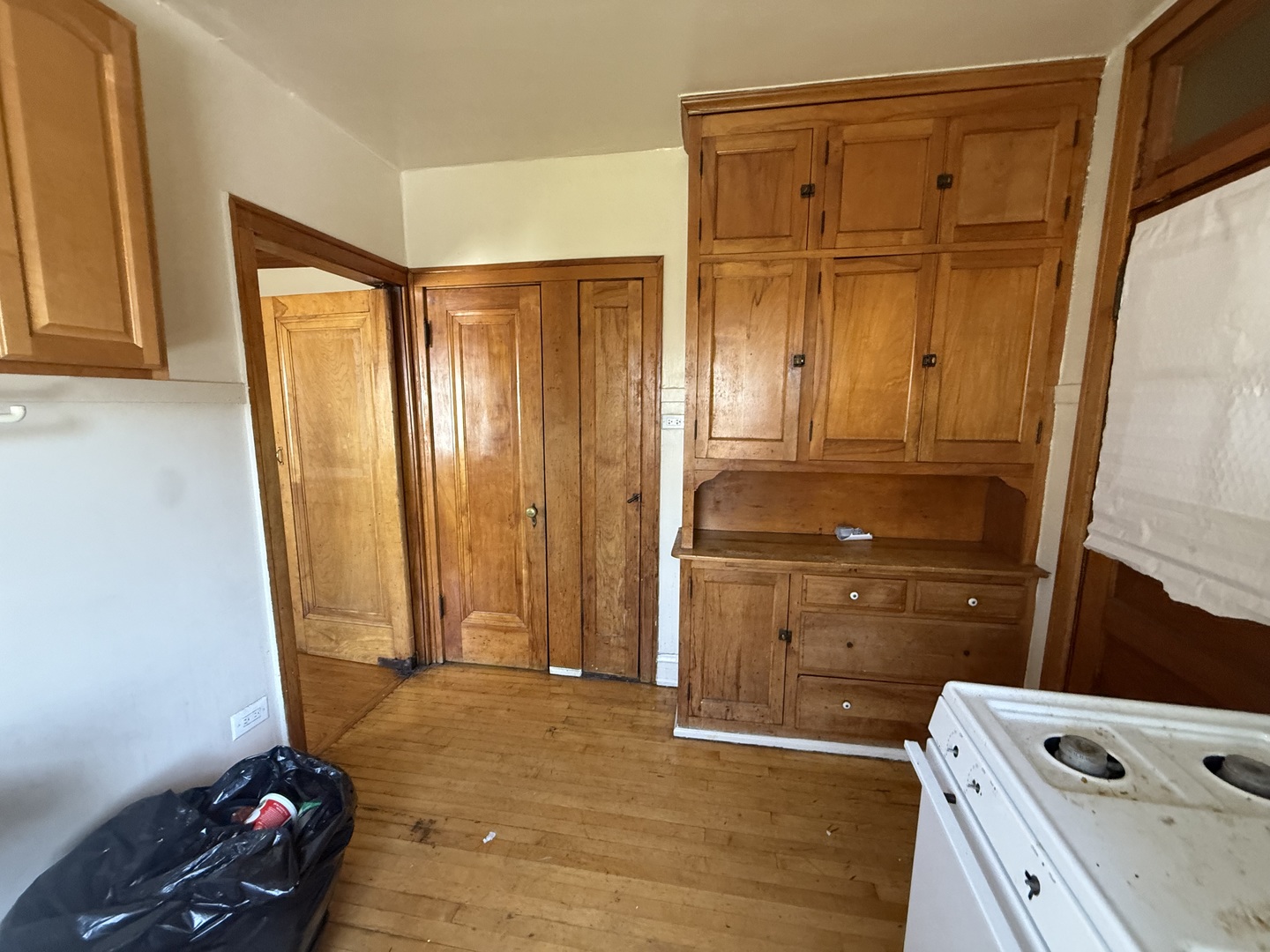 55-57 West Altgeld Street, Unit 1 Chicago, IL 60639 - Photo 9 of 10