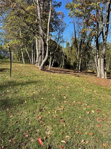 a view of a yard with large trees