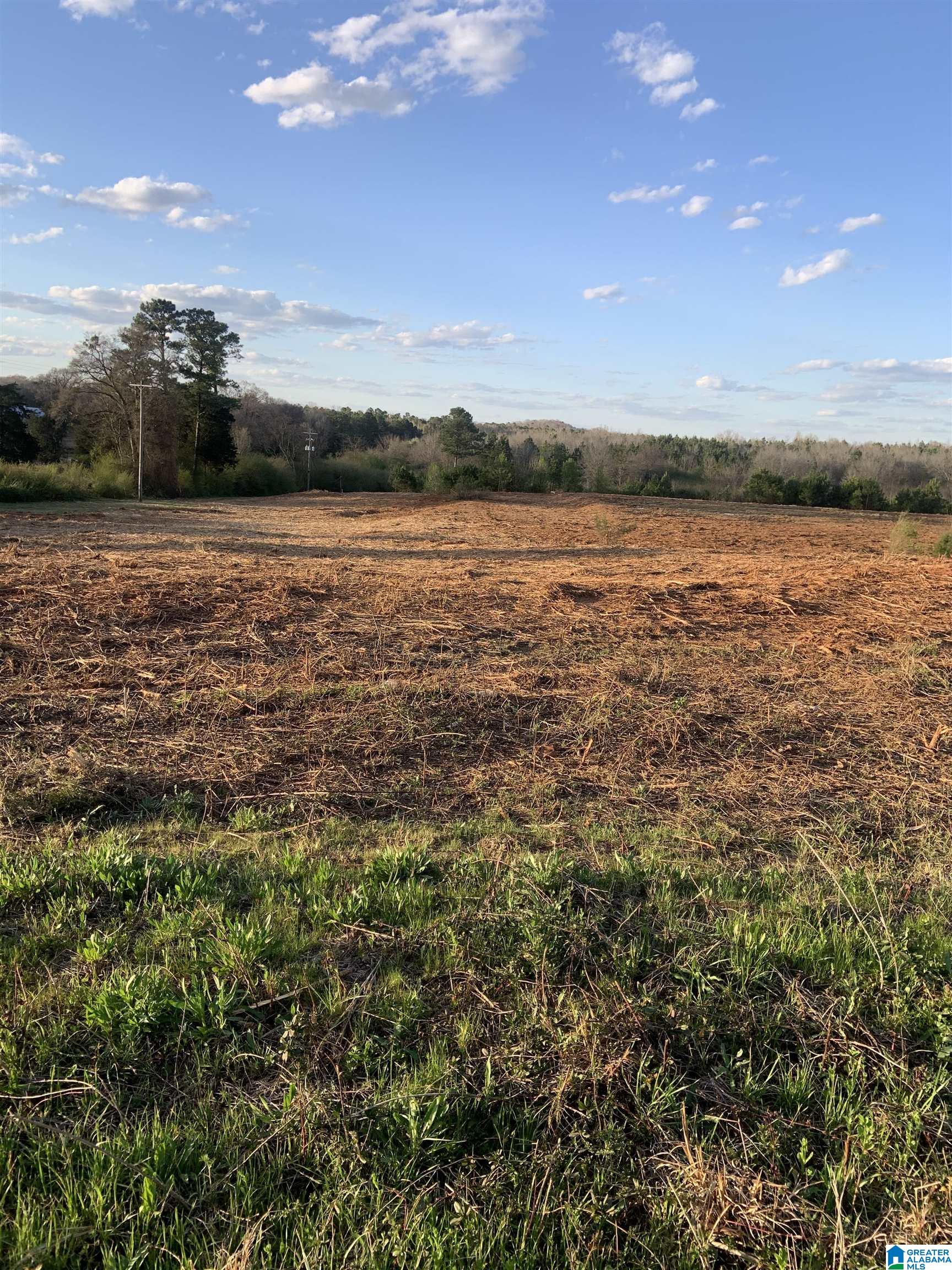 0 Providence Road, Unit 71 ACRES Talladega, AL 35160 - Photo 1 of 9