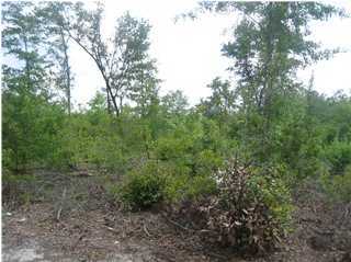 5326 Sidneys Road Round O, SC 29474 - Photo 2 of 3 Additional Photo