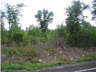 5326 Sidneys Road Round O, SC 29474 - Photo 3 of 3 Additional Photo