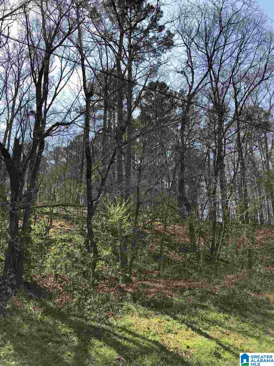Ricetown Road, Unit ONE Hayden, AL 35079 - Photo 7 of 10