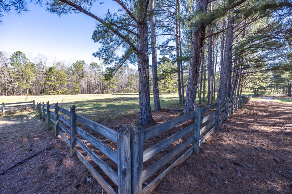 8435 Cartledge Road Box Springs, GA 31801 - Photo 38 of 100 Gallery Image 38
