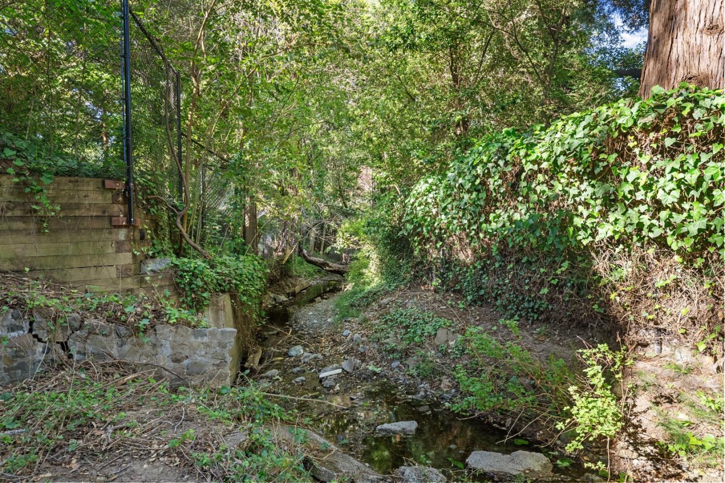 410 Fulton Road San Mateo, CA 94402 - Photo 45 of 49 a view of a lake with a tree